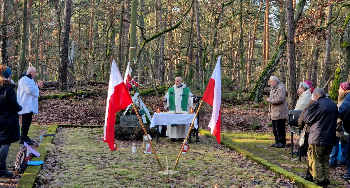 pikniki, uroczystosci, STYCZNIOWY - zdjęcie, fotografia