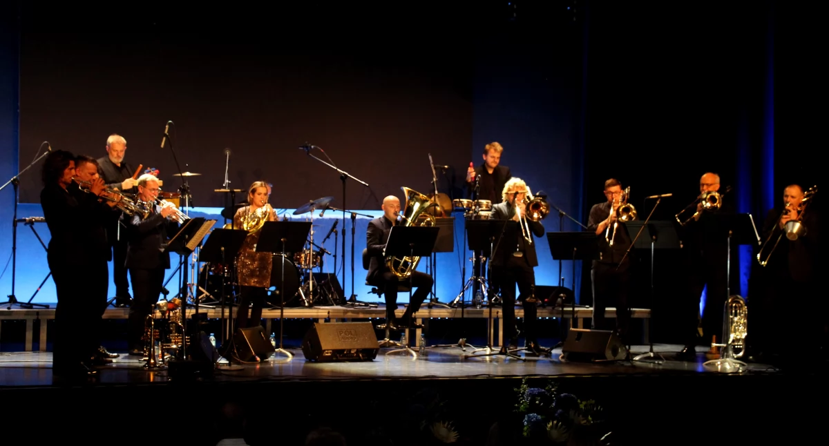 koncerty, KONCERT CHARYTATYWNY FUNDACJI POLSKIE HOSPICJA - zdjęcie, fotografia