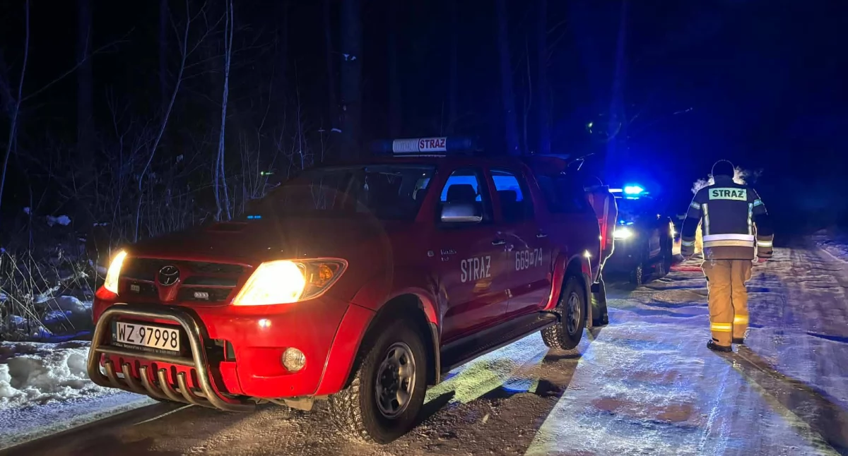interwencje, TRAGICZNY FINAŁ SPACERU KAMPINOSKIM PARKU NARODOWYM - zdjęcie, fotografia