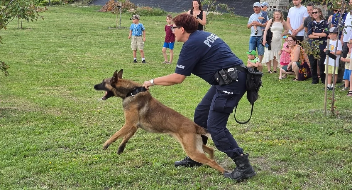 duszpasterstwo, RODZINNY PIKNIK MISJI AFRYKAŃSKICH - zdjęcie, fotografia