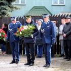 zdjęcie nr 42