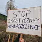 zdjęcie nr 20