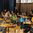 Fotka nr 1 z 13