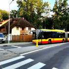 Fotka nr 5 z 6