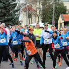Fotka nr 1 z 81
