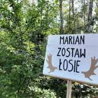 zdjęcie nr 19