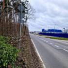zdjęcie nr 8