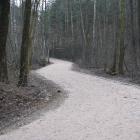 zdjęcie nr 19