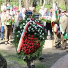 zdjęcie nr 46