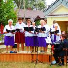 zdjęcie nr 25