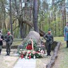 zdjęcie nr 65