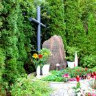 zdjęcie nr 15