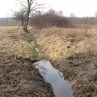 zdjęcie nr 30