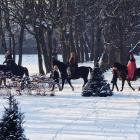 zdjęcie nr 9