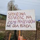 zdjęcie nr 19