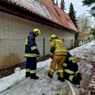 Fotka nr 4 z 12