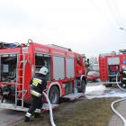 Fotka nr 2 z 10