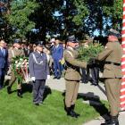 zdjęcie nr 42