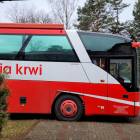 zdjęcie nr 12