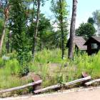 zdjęcie nr 8