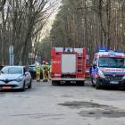 Fotka nr 2 z 4