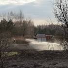 Fotka nr 5 z 12