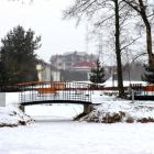 zdjęcie nr 7