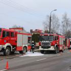 Fotka nr 5 z 10