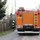 Fotka nr 1 z 4