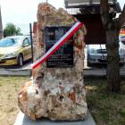 zdjęcie nr 10