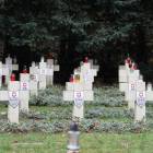 zdjęcie nr 20