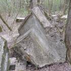 zdjęcie nr 7