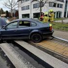 Fotka nr 2 z 4