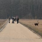 zdjęcie nr 22
