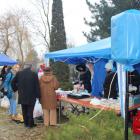 zdjęcie nr 17