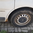 zdjęcie nr 
