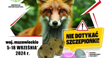 AKCJA SZCZEPIENIA LISÓW WOLNO ŻYJĄCYCH PRZECIWKO WŚCIEKLIŹNIE